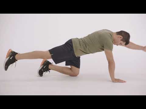 Bird Dog form demo video thumbnail